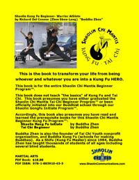 back cover of Shaolin Kung Fu Beginner book